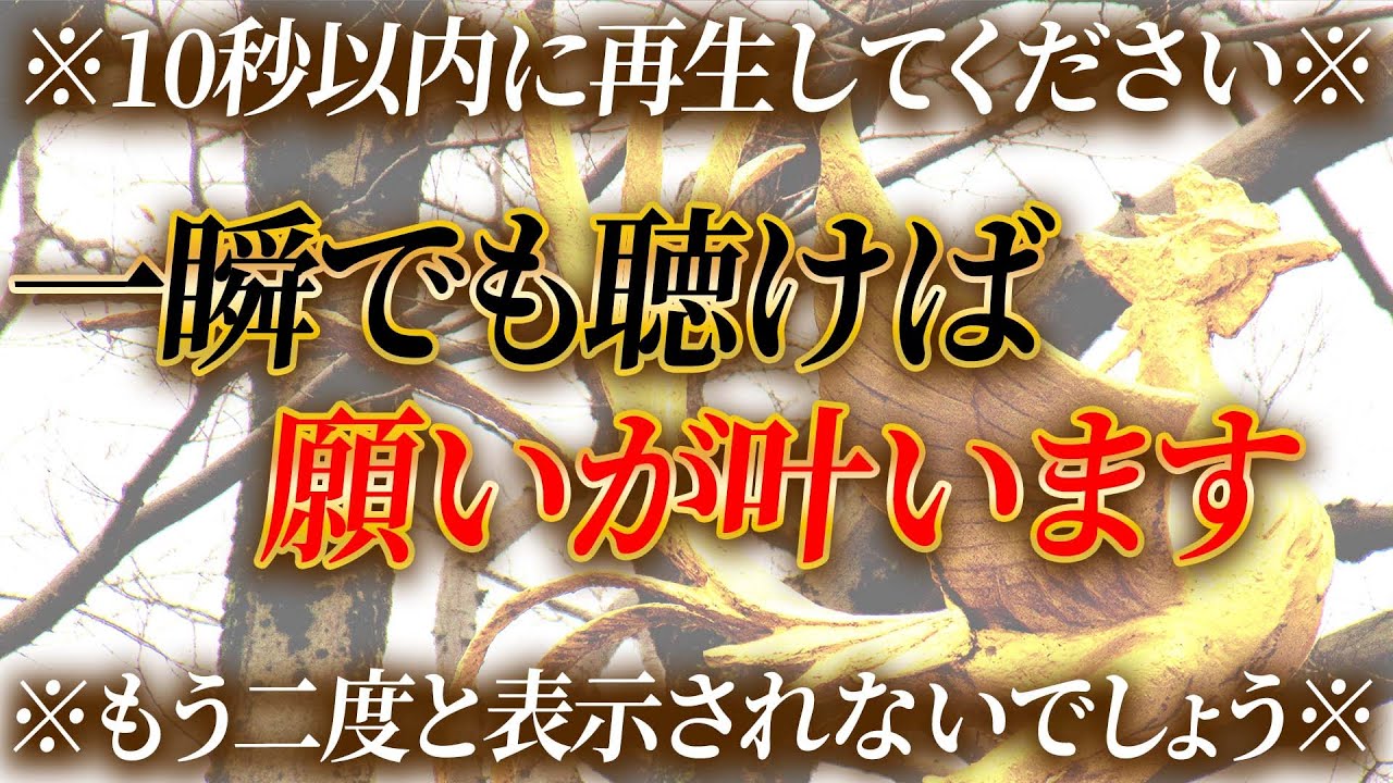 【5月22日 鳳凰日】奇跡と共に現れる鳳凰の力。聞き流すだけで臨時収入が入ります。