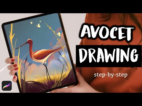 Draw a Stylized Landscape with an Avocet - Easy PROCREATE Drawing Tutorial