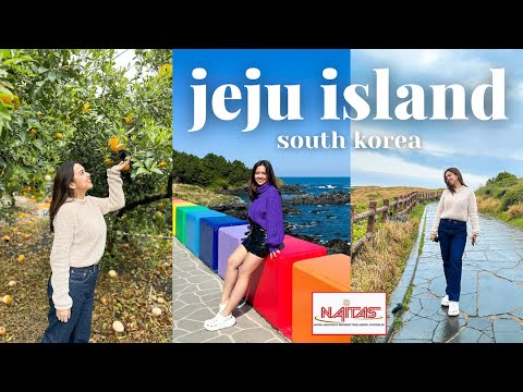 4 Days in Jeju Travel Vlog | trojans lighthouse, yongduam rock, rainbow seaside road (NAITAS)