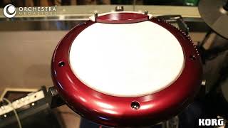 Video thumbnail for Korg Wavedrum Global Edition & Oriental by ORCHESTRA MEGASTORE