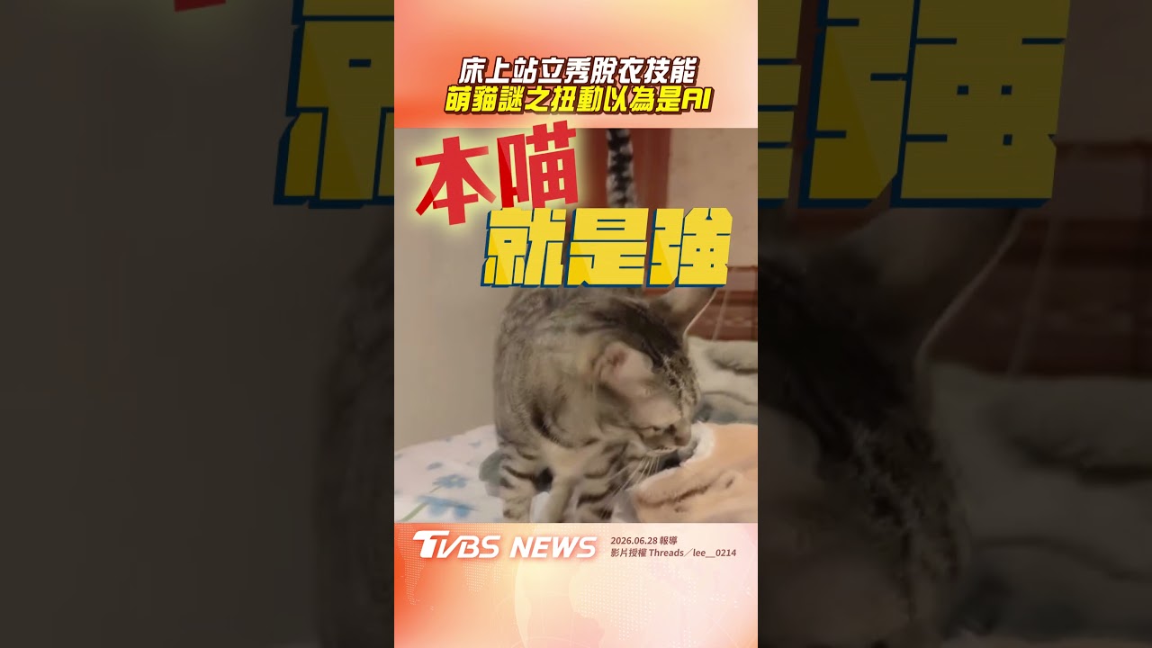 影音/萌貓突站立上演「脫衣秀」 「謎之扭動」網笑:以為AI