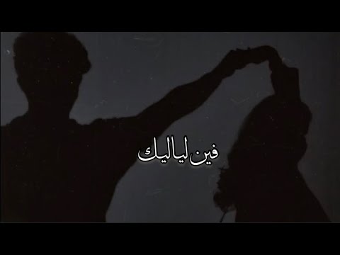 فين لياليك - فضل شاكر - بطيء