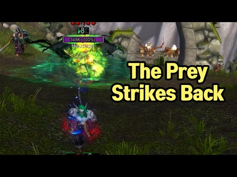 (short) Prey Fights Back against Hunters - Assassination Rogue PVP BG
