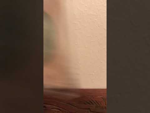 1863 confederate $100 bill