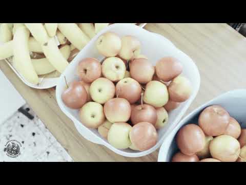 Eröffnung des KIDS CAMP XXL '19 /Grevenbroich - durch Rebekka Ilgner