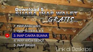 Download lagu Suara Inap Walet Mp3 Gratis | 5 Link Download Suara Walet Inap mp3