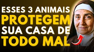 ⚠️SANTA TERESA REVELOU: 3 ANIMAIS QUE PROTEGEM SUA CASA DO MAL — POUCA GENTE SABE DISSO!