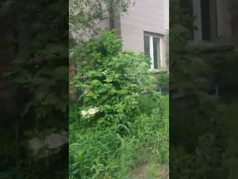 "Odwiedzamy potężne osiedle widmo"