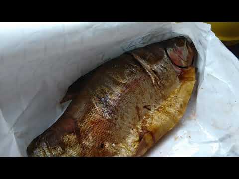 Kävin..kalassa oho..savustettu lohi sieltä tuli...hyvä kalatiski😂😂💪💪💪👍🏼