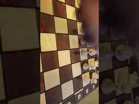 Video Šachová souprava Consul - od firmy Wegiel