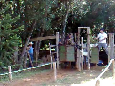 Puro Sangue Ingles Arrancando de 0 a 400 metros em 14,89 Seg