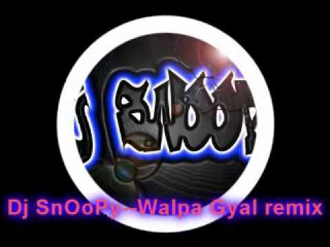 Dj-SnOoPy---WaLpA GyaL WiNe Remix[All SnOoP' SeSsIon]