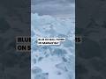Blue Ice Wall Forms On Saginaw Bay