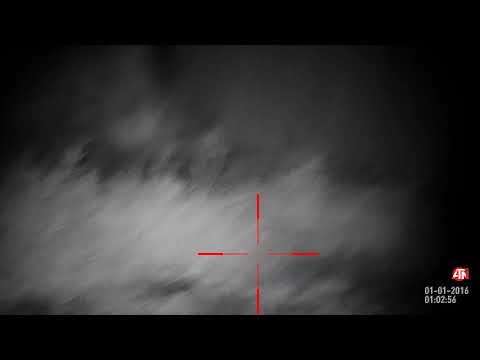 ratting with atn x-sight 2 kral hi cap jumbo 22