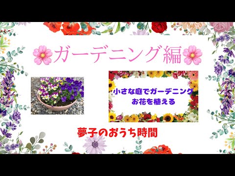 冬の穏やかな気候に合わせてペラルゴニウムを剪定する時期は、屋外の厳しい気候を屋内に残しておくことです。