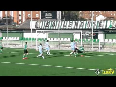 RESUMEN || 3ª Cadete. Lenense Proinastur, 5  - Alcava "B", 2.