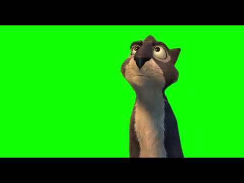 "I'll do anything, I'll do whatever it takes" - Squirrel meme (Green Screen)