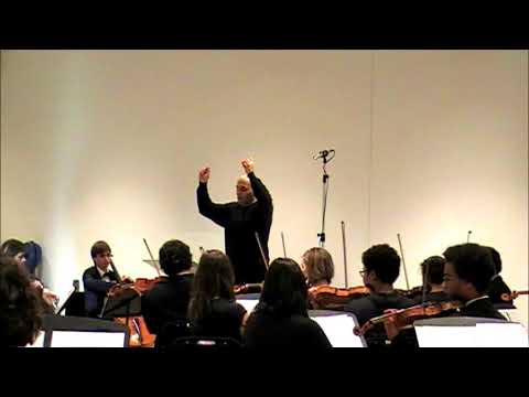 Ghassan Alaboud - Sibelius Sym 2 - fragment of 1st mov.