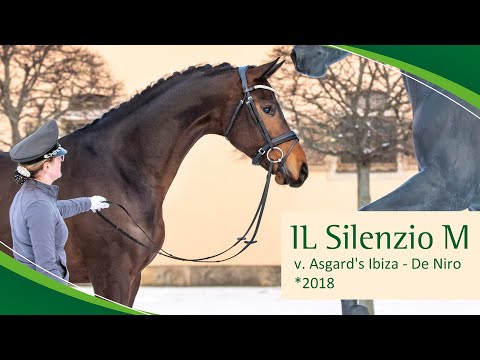 IL SILENZIO M v. Asgard’s Ibiza - De Niro