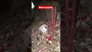 Download lagu Pesugihan Tanpa Tumbal di Jawa Tengah #pesugihan #tumbal #ritual #misteri mp3