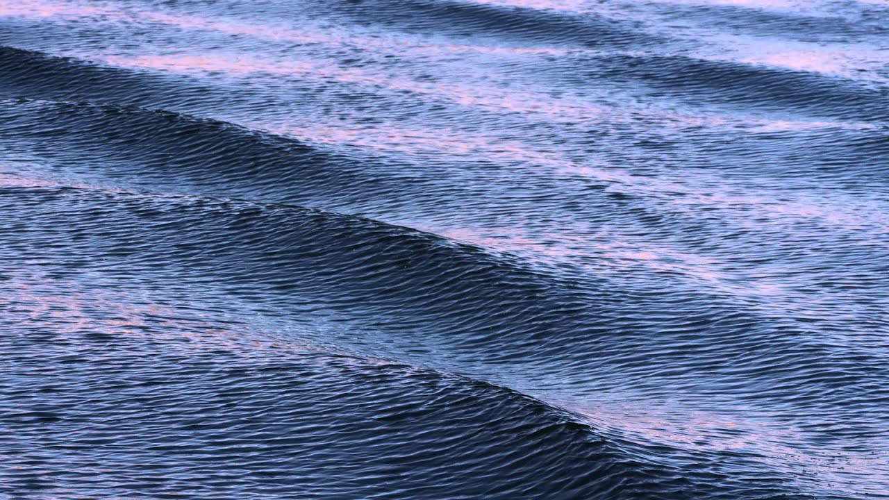 Website Header Video