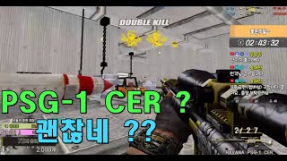 PSG-1 CER 총 멋있네 [스포][스페셜포스][정수익][GGuMa][스나이퍼][국가대표][SpecialForce][KSF][SF][THSF][FPS][SKT1]