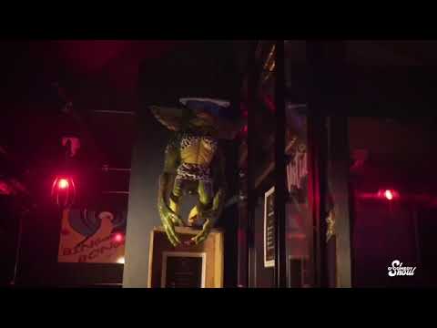 Show Stand-up Corporate