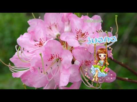 Happy Birthday Juana