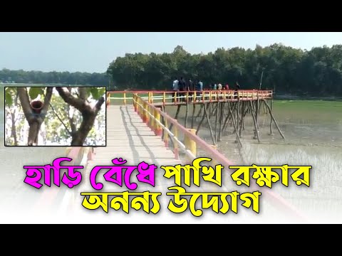 হাড়ি বেঁধে পাখি রক্ষার অনন্য উদ্যোগ