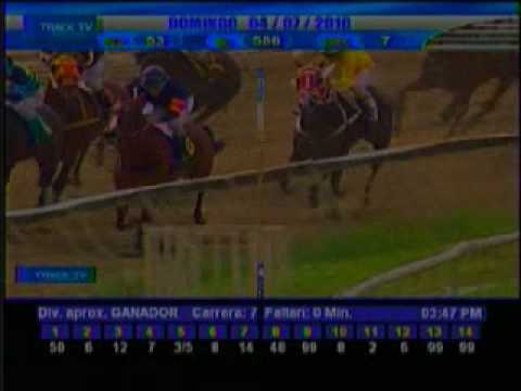 Resumen domingo 4 de julio 2010 - La Rinconada