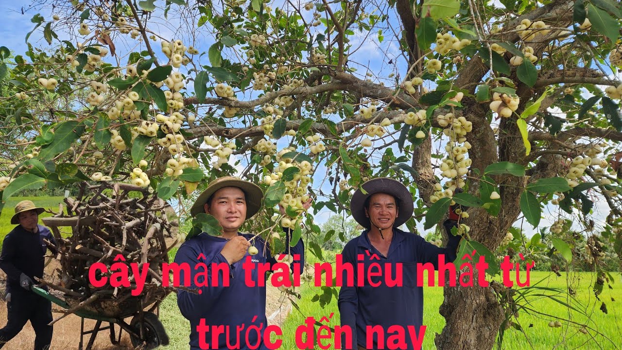 Được Gia Đình HTMT Cho Củi Mấy Anh Em Nhanh Chóng  Chuyển Về Nhà Kẻo Trời Mưa l tập 611