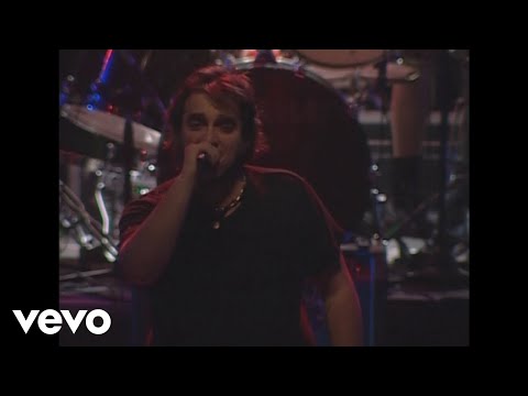 Los Fabulosos Cadillacs - Carnaval Toda La Vida (En Vivo)