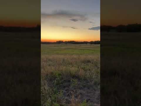 Video of the Sheyenne National Grasslands across from our site