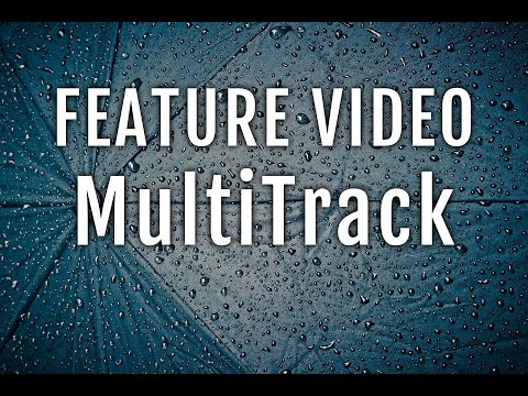 Feature  - MultiTrack AUv3 Plugin Upgrades.