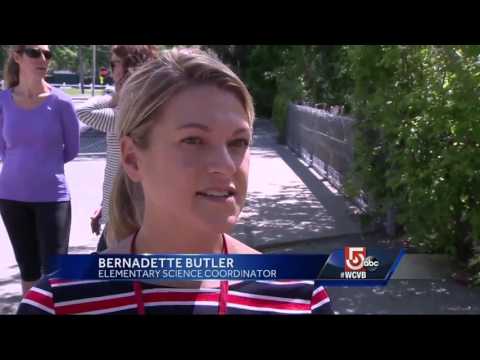 Mother and her ducklings march down school hallway