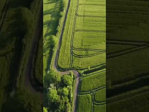 Natural beauty / Relax feel the music