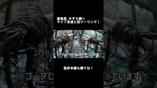 これだからツーリングは楽しい！【boulevardm109r】#Shorts