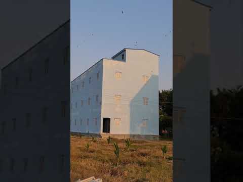 Âm thanh cho mùa dụ chim non 