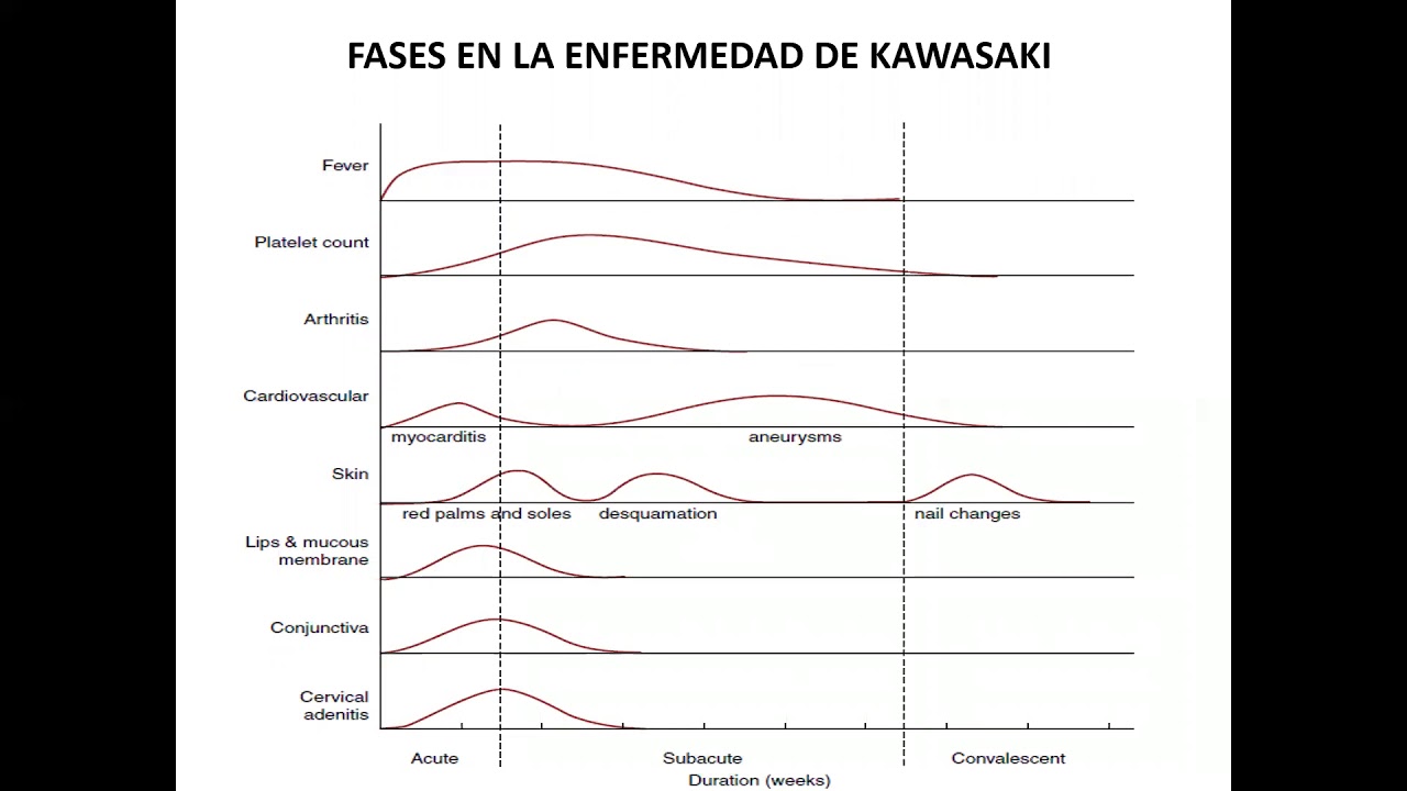 Enrique Faugier Fuentes-31