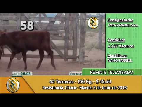 5-6-18 - Remate Televisado de Ivan O Farrelll S.R.L. - Resistencia, Chaco