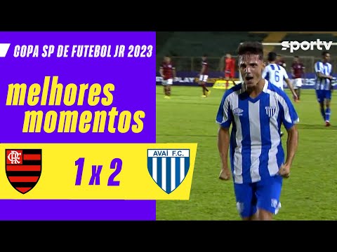 Gols e lances de Flamengo x Avaí