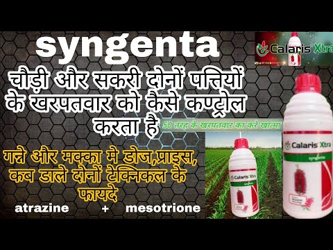 Bayer Herbicide