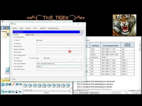 شرح مبسط ل Configuring IPv6 Addressing - CCNA1 - 7.2.4.9