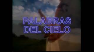 Palabras del Cielo - Orquesta Melodía al estilo de Roberto Ledesma - Karaoke