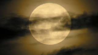 Paulina rubio tal vez  quizá