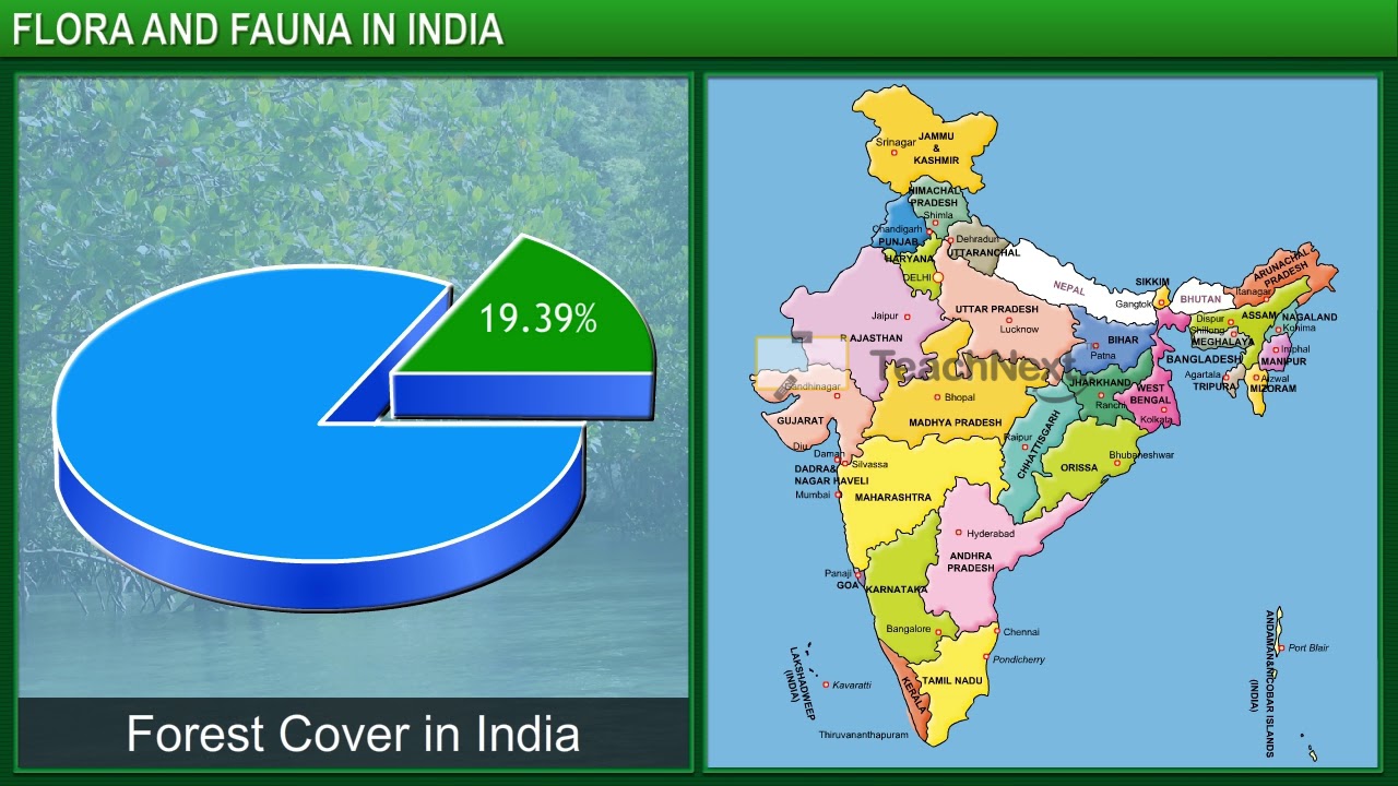 CBSE 10 Geography Forest and Wildlife Resources Flora and Fauna in India