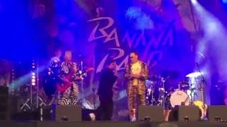Electric Banana Band - Banankontakt - Zwampen - Live Sommarrock 2016