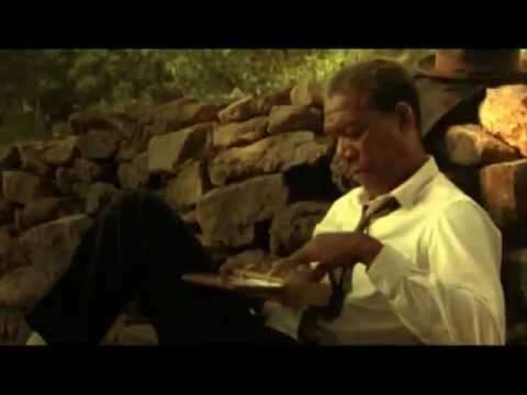 YO RENACERÉ ... DAVID BOLZONI ..... De Marcos Aiassa