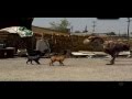 Ave Del Terror Terror Bird Vs Bully Dog Pitbull