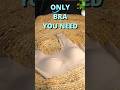 Only Bra You Need Most Comfortable Shapewear Sleeping Bra